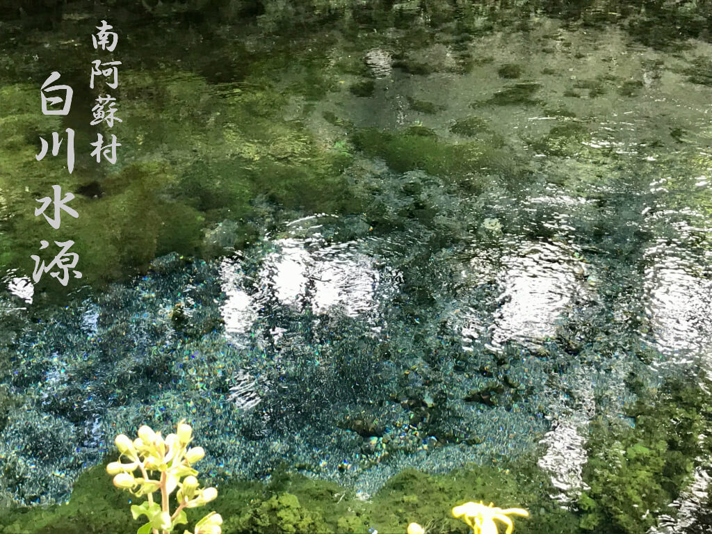 熊本 白川 水源
